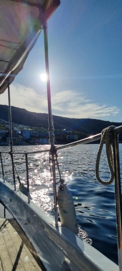 Sea La Vie Apartman Valun Kültér fotó